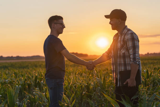 istock Male farmer and agronomist shaking hands in corn field 1451087163