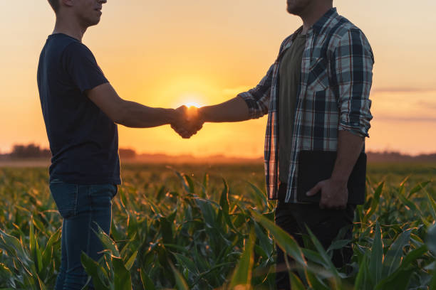 istock Male farmer and agronomist shaking hands in corn field 1451087541