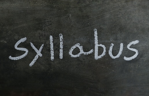 Syllabus Word with Written on Blackboard with White Chalk in Horizontal Orientation.