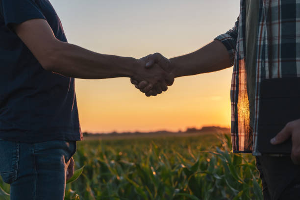 istock Male farmer and agronomist shaking hands in corn field 1451087628