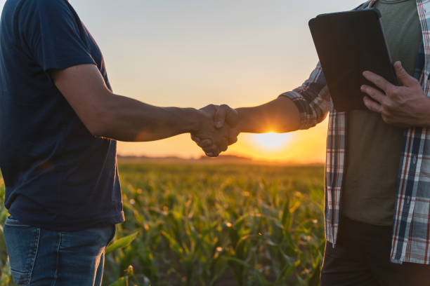 istock Male farmer and agronomist shaking hands in corn field 1451088425
