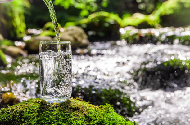 istock Clean water pouring in drinking glass on rock at rainforest 1451088427
