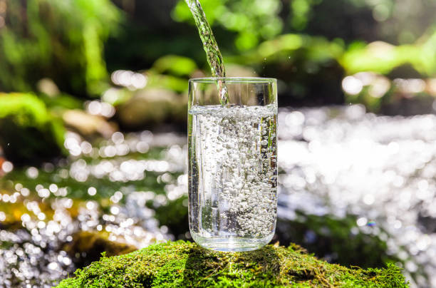Purified water pouring in drinking glass on rock at forest stock photo
