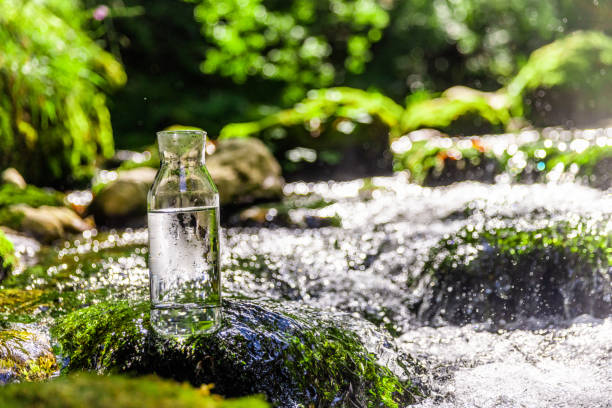 Close-up of purified drinking water in glass bottle on river flowing rock at rainforest during summer