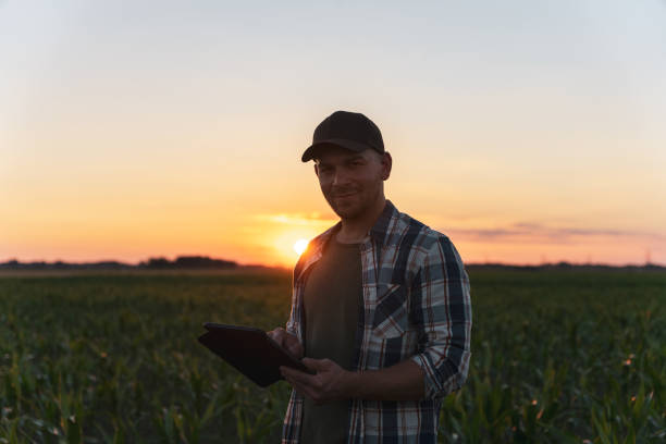 istock Male farmer using digital tablet in corn field at dusk 1451088825
