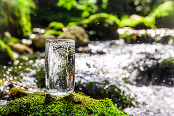 istock Purified water in drinking glass on rock at rainforest 1451088830