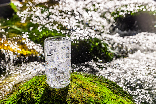 Close-up of water with ice cubes filled in drinking glass on moss covered rock with river flowing in the background at forest during sunny day