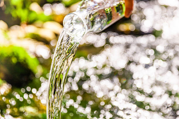 Close-up of clean water pouring from glass bottle in flowing river at forest during sunny day