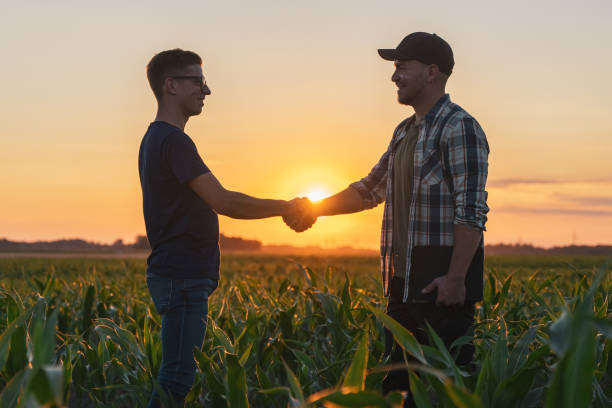 agricultor y agrónomo se dan la mano en un campo de maíz - face to face twilight togetherness vertical fotografías e imágenes de stock