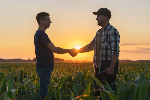 istock Male farmer and agronomist shaking hands in corn field 1451090002