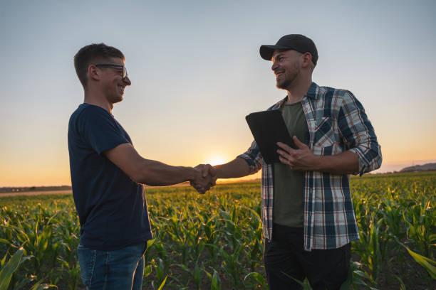 istock Male farmer and agronomist shaking hands in corn field 1451090226