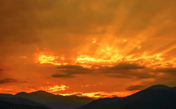 blue  scenic landscape.  mountains ridges sunset layers. mountain sunset landscape. realistic pine forest and mountain silhouettes - pine sunset night sunlight imagens e fotografias de stock