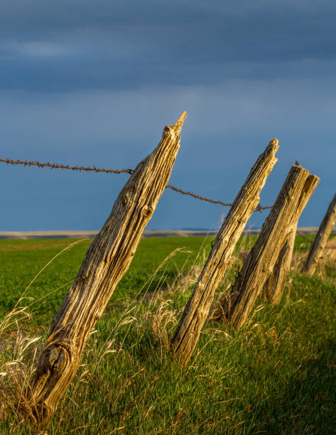 istock Leaning old wood Country Fence 1451096320