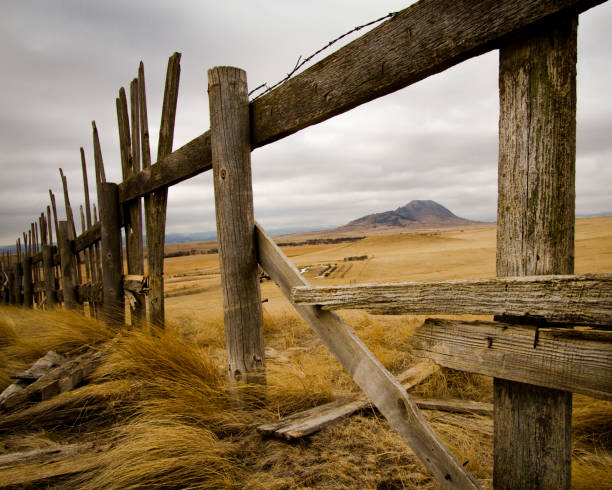 istock View of Bear Butte through old fence 1451096437