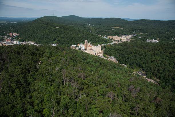 istock Beautiful shot of a small city within an endless forest 1451099265