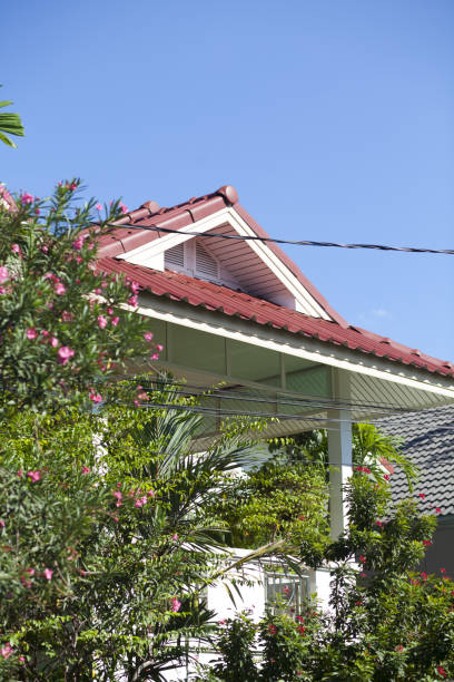 Trees in front of home in residential district in Bangkok Chatuchak