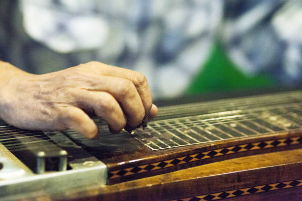 istock Close-up of Man playing zither 1451099431