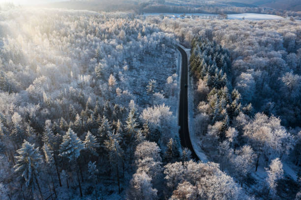 istock Hoarfrost in the Taunus 1451099508