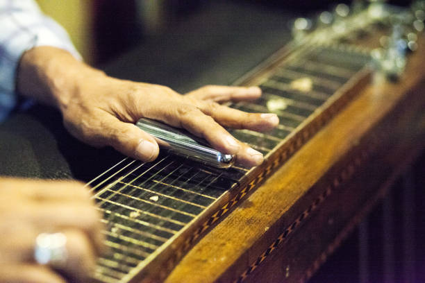 istock Close-up of male hands playing zither 1451099536