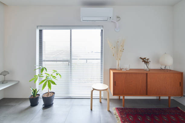 potted houseplants put in the room