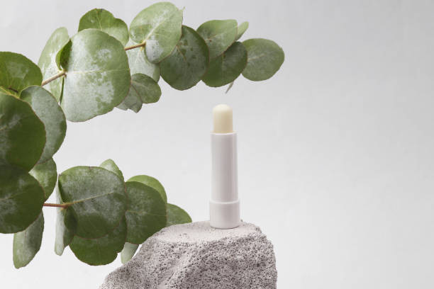 White tube of hygienic lipstick on a stone with a sprig of eucalyptus. Beauty minimal still life. Product photo stock photo