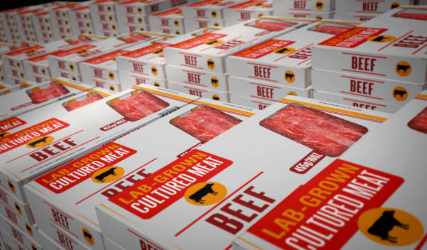 Cultured meat lab-grown box production line. Synthetic beef from biotech science pack factory. Abstract concept 3d rendering illustration.