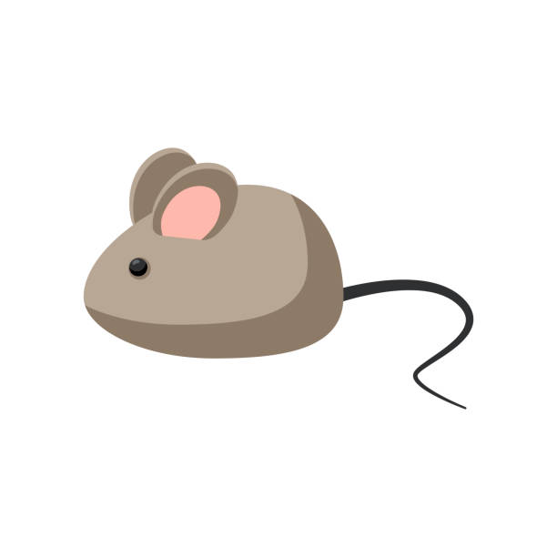 33,898 Little Mouse Stock Photos, Pictures & Royalty-Free Images - iStock | Bee 33,898 Little Mouse Stock Photos, Pictures & Royalty-Free Images - iStock | Bee