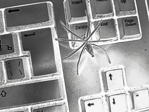 Black spider on black keyboard. IT trouble abstract photo.