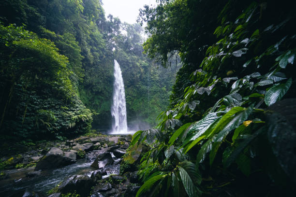 istock Beautiful waterfall with tropical rainforest in Bali 1451109658