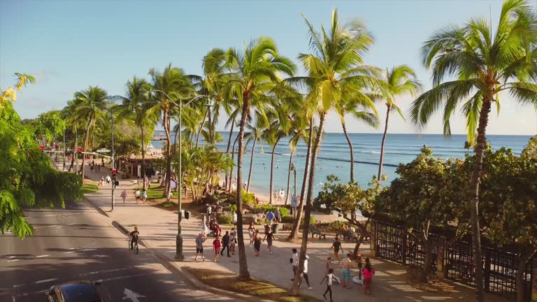 Waikiki Beach