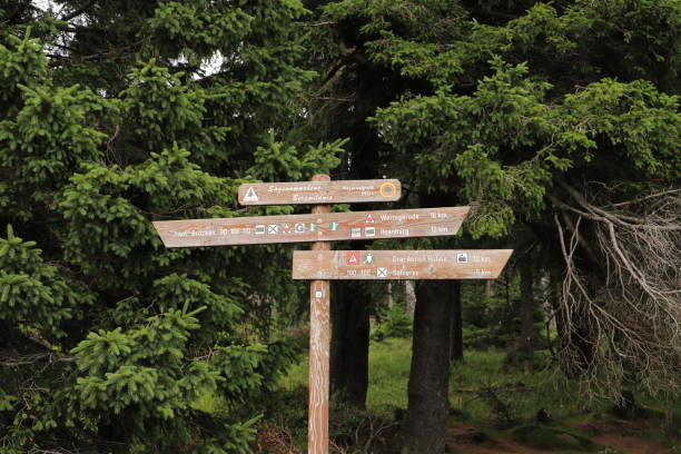istock old wooden signposts in the Harz Mountains 1451117877