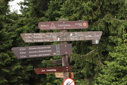 old wooden signposts in the Harz Mountains