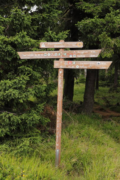 istock old wooden signposts in the Harz Mountains 1451117909