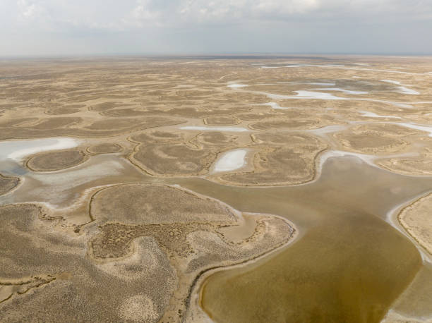 istock Natural shapes and textures on lake 1451121203