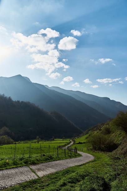 istock Narrow path through green valley in the mountains 1451121740