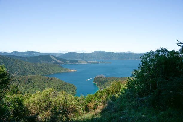 vista panorámica de marlborough sounds desde queen charlotte track walk - queen charlotte track fotografías e imágenes de stock