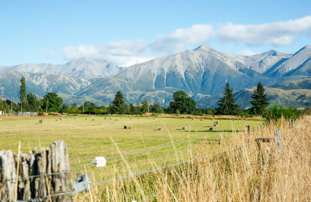 istock View with scree slopes on Southern Apls mountain background beyond rural plains 1451123117