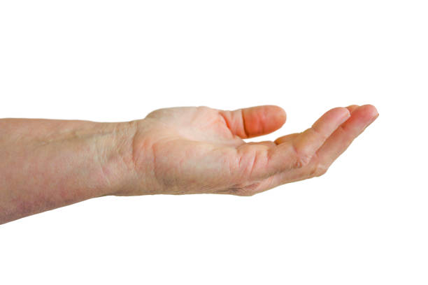 istock Old female hand close up isolated on white background. 1451123194
