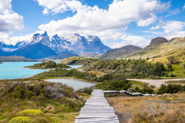 torres del paine es el parque nacional más famoso de sudamérica debido a sus numerosos senderos alrededor del parque - andes fotografías e imágenes de stock