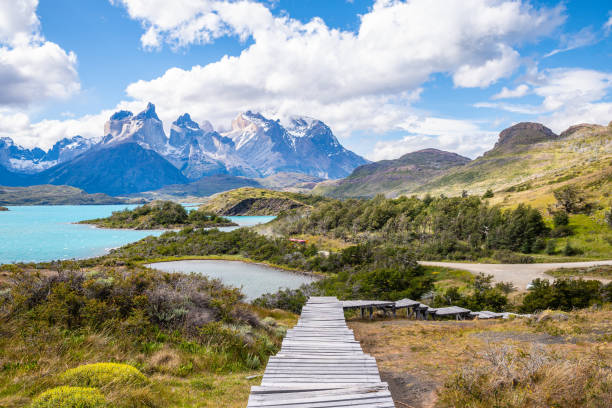torres del paine is the most famous national park in sputh america because of its plenty trails around the park amazing landscape of torres del paine national park, chile andes mountains chile stock pictures, royalty-free photos & images