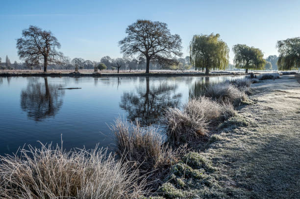 Bright sunny frosty morning