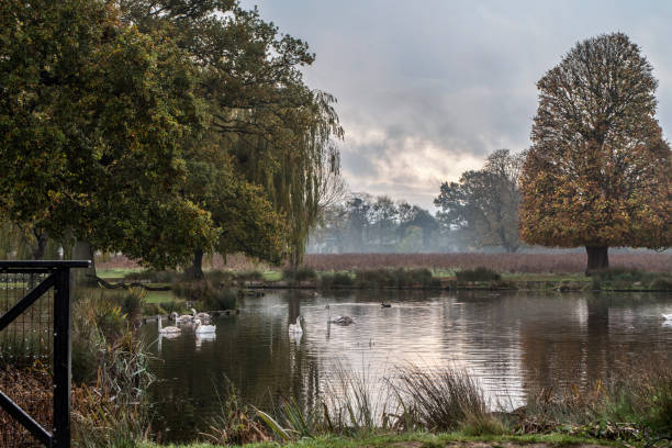 Bushy Park pond on a cold morning