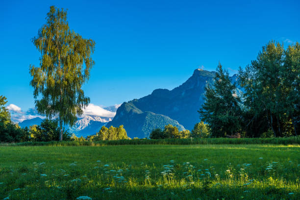 istock meadows in summer in austria 1451135993