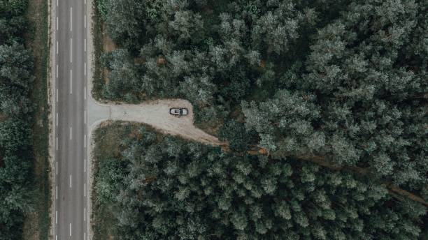 istock Top view of a car parked in a dense green forest with a narrow pathway passing through it 1451137563