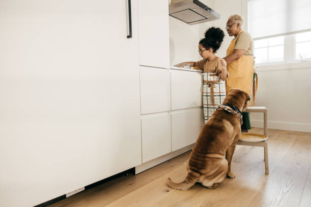 istock Girl and dog in the kitchen 1451140842