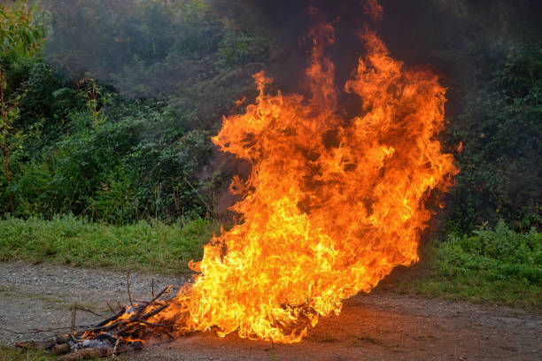 big fire burning on a country road - forest fire power actions nature imagens e fotografias de stock