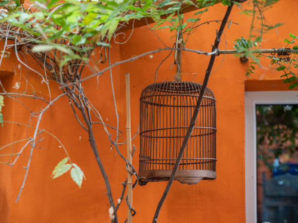 Hanging empty old bird cage. Vintage interior decor.