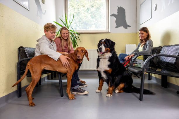 istock Diverse People With Pets In A Veterinarian Waiting Room 1451147078