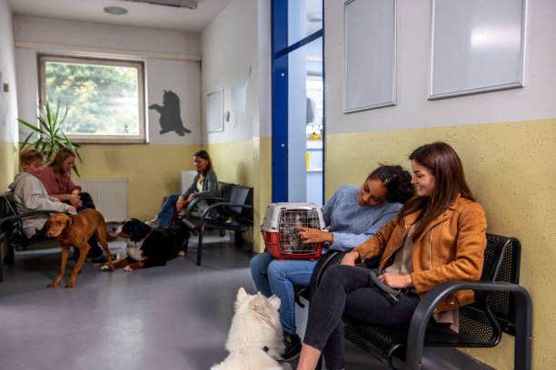 istock Diverse People With Pets In A Veterinarian Waiting Room 1451147087