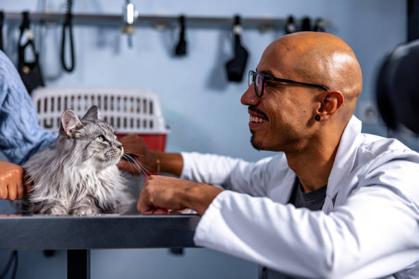 istock Hispanic Veterinarian Petting A Cat In The Office 1451147112